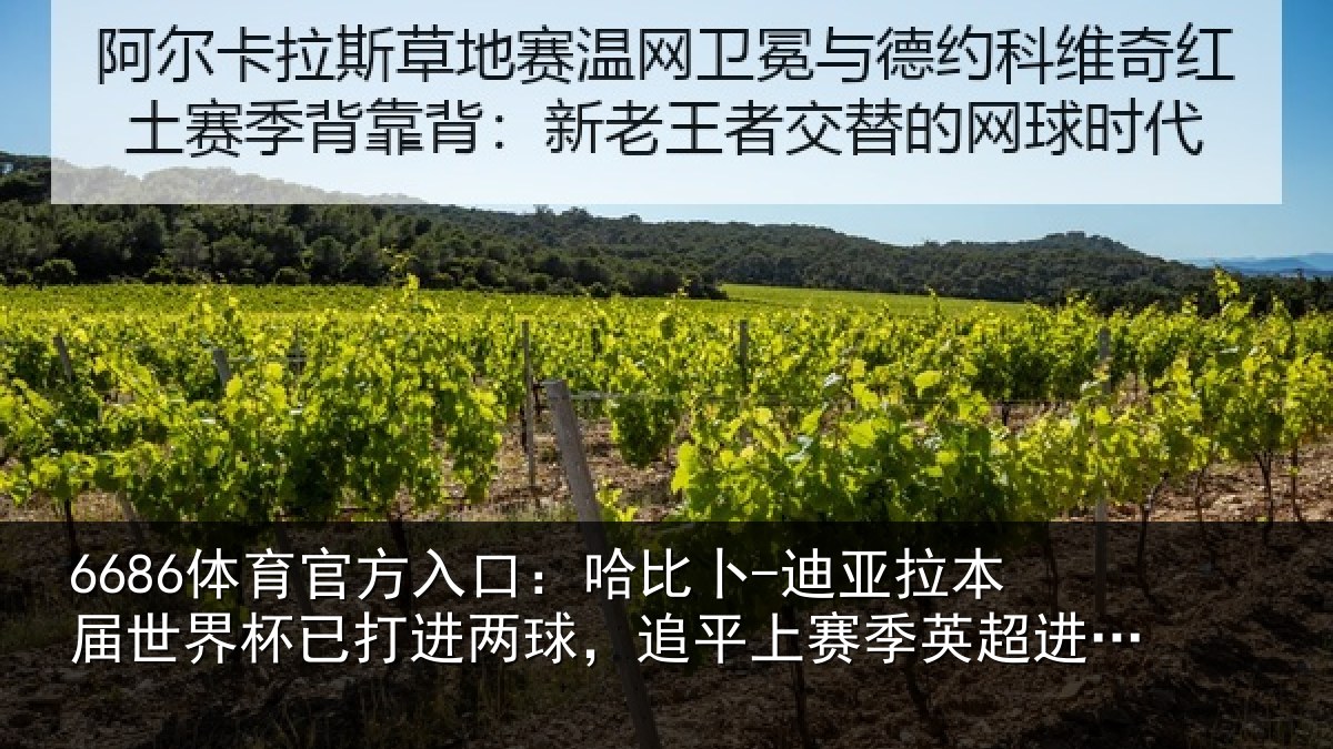 6686体育官方入口:哈比相关情况杯已打进两球,追平上赛季英超进球数