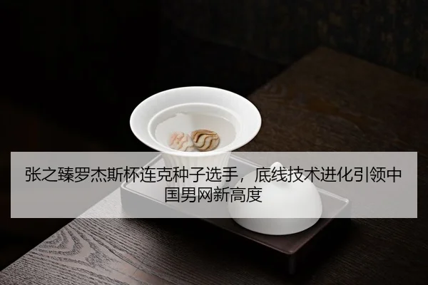 张之臻罗杰斯杯连克种子选手，底线技术进化引领中国男网新高度