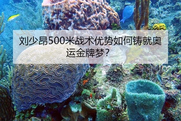 刘少昂500米战术优势如何铸就奥运金牌梦？