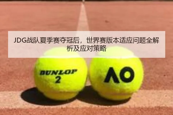 JDG战队夏季赛夺冠后，世界赛版本适应问题全解析及应对策略