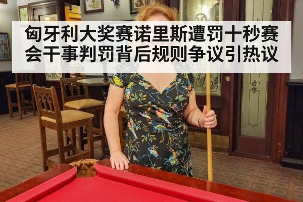 匈牙利大奖赛诺里斯遭罚十秒赛会干事判罚背后规则争议引热议