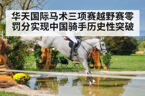 equestrian cross country jumping